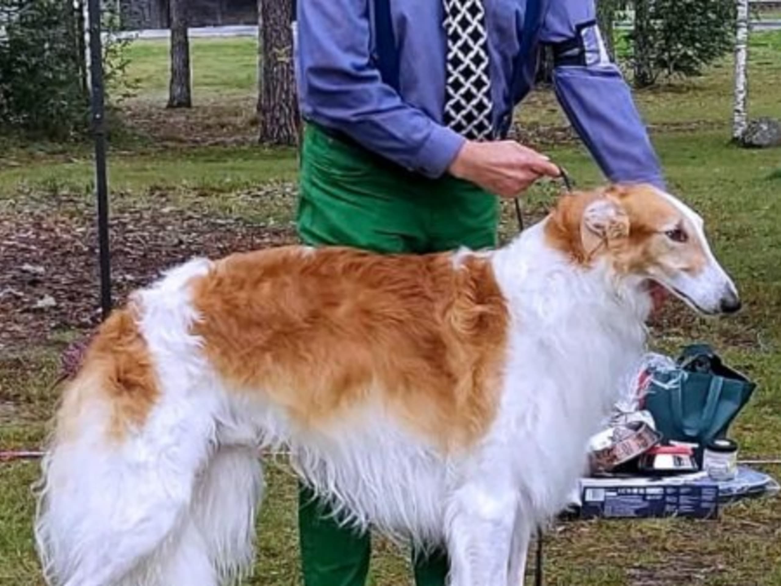 Father: LYNX RIVER WILD