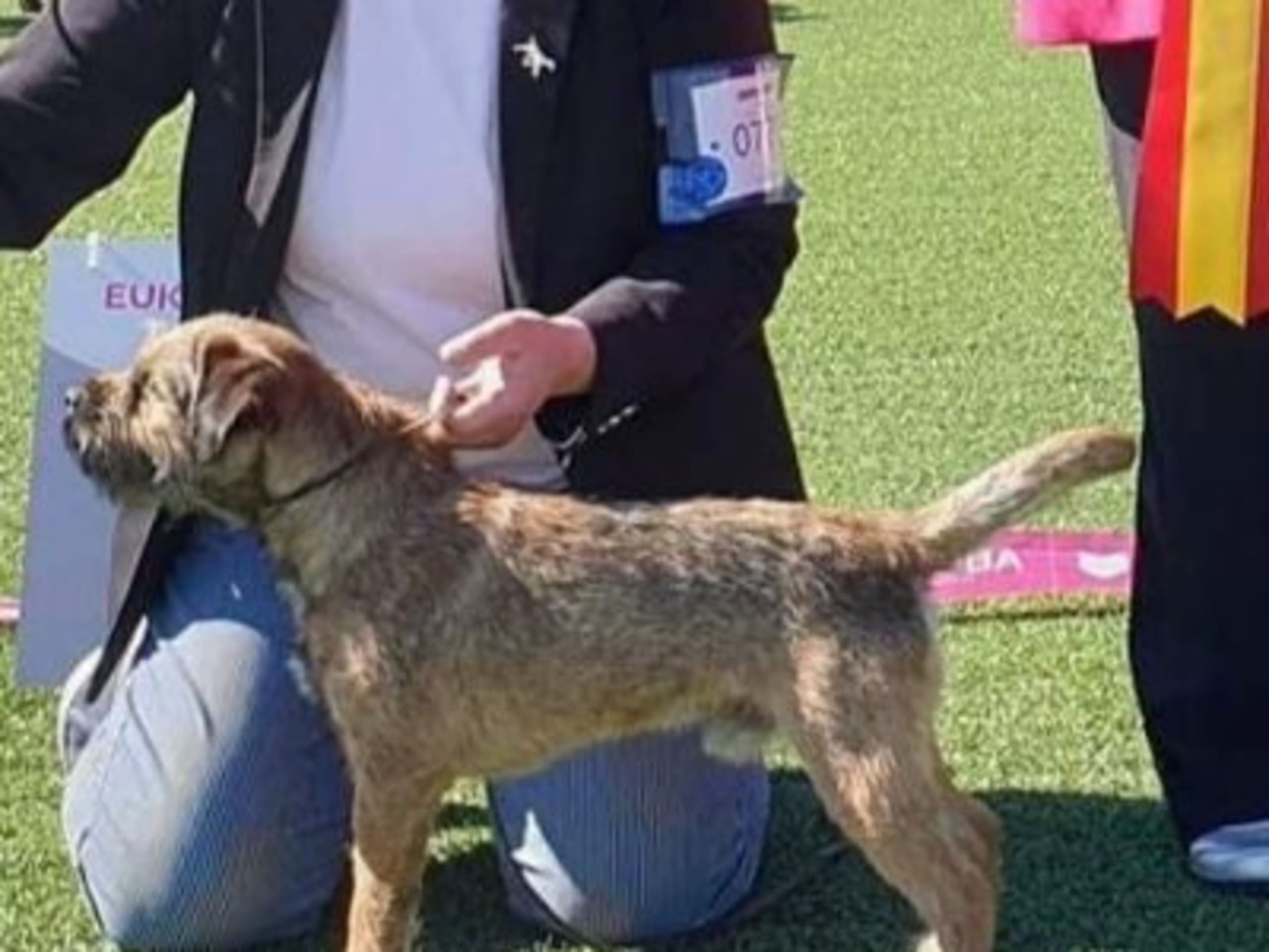 Pappa: BORDERFUN PERFECT STAR