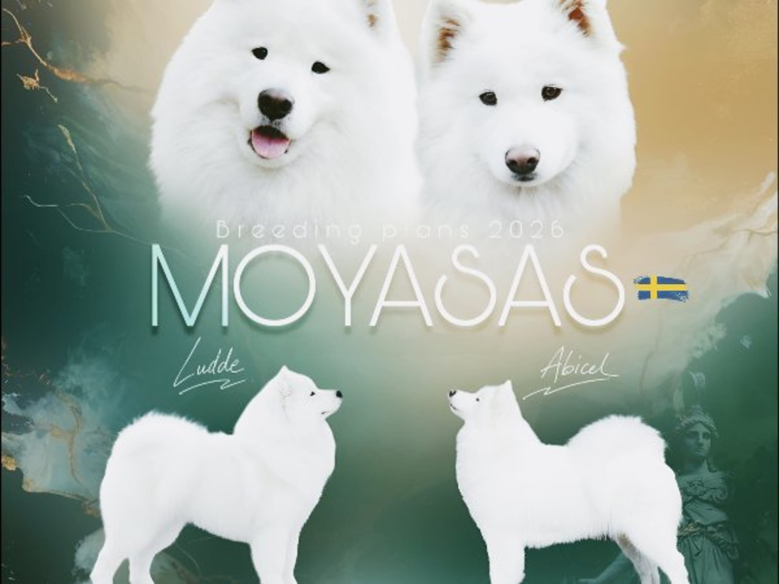Dog: MOYASAS LUX ABICEL DE JELEN