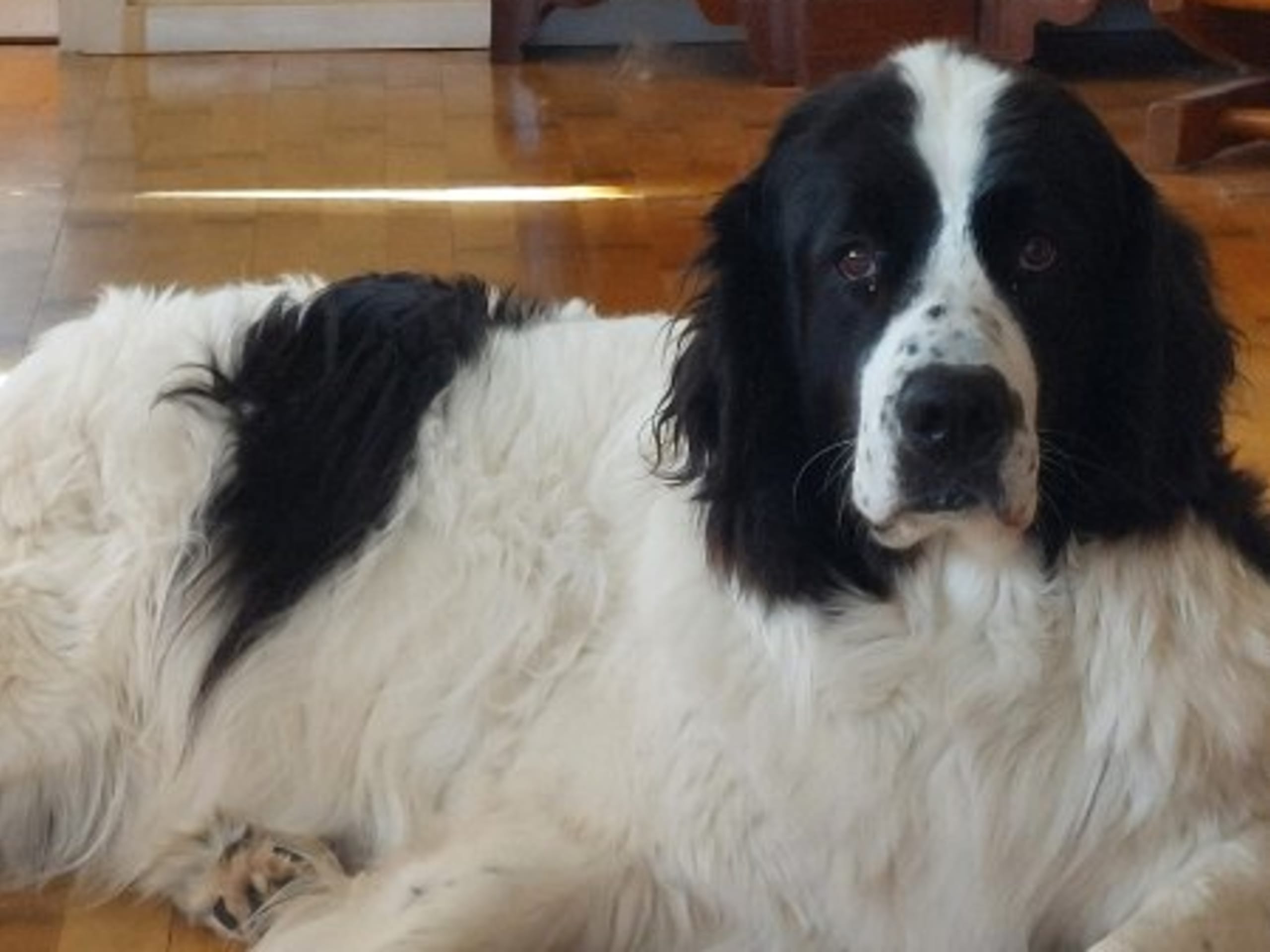 Mor: VÅGDALENS LANDSEER CINETTE