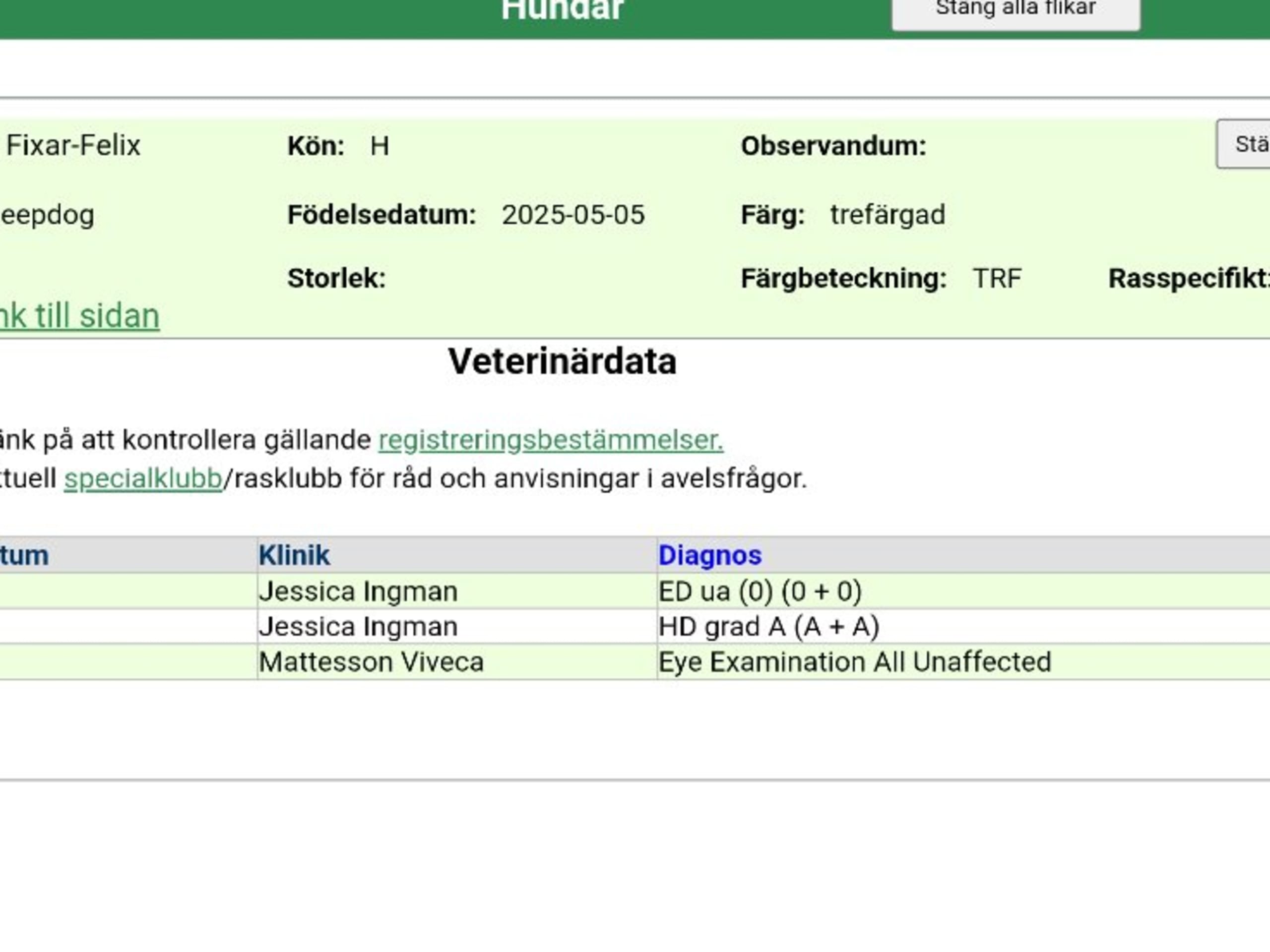 Puppy: OLSSINGE FIXAR-FELIX