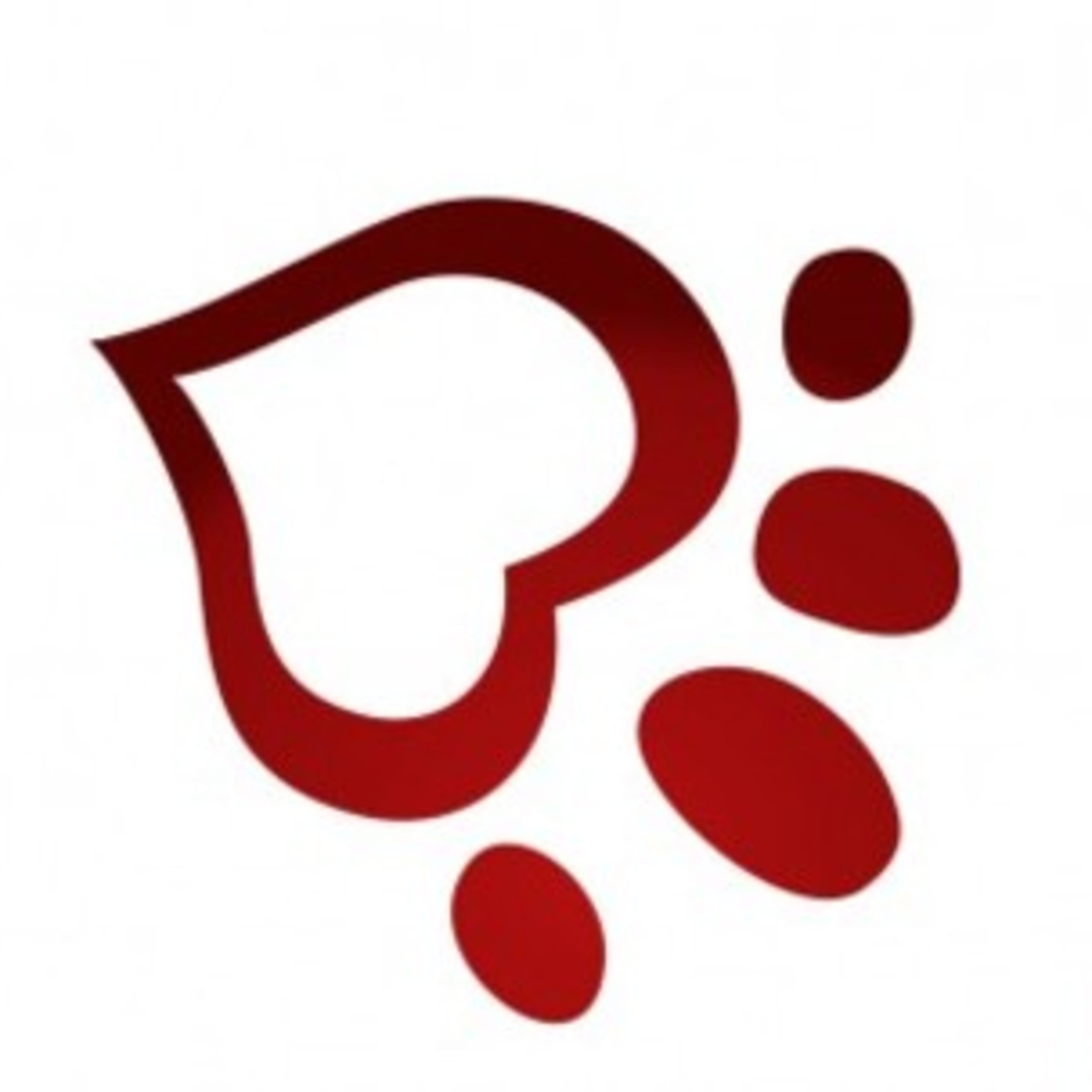 RedCorner´s
