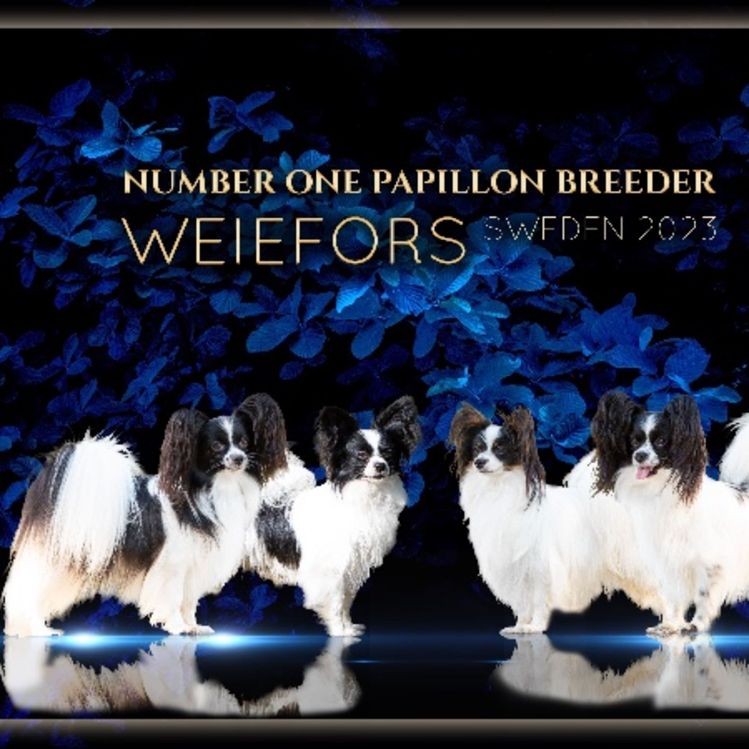Weiefors