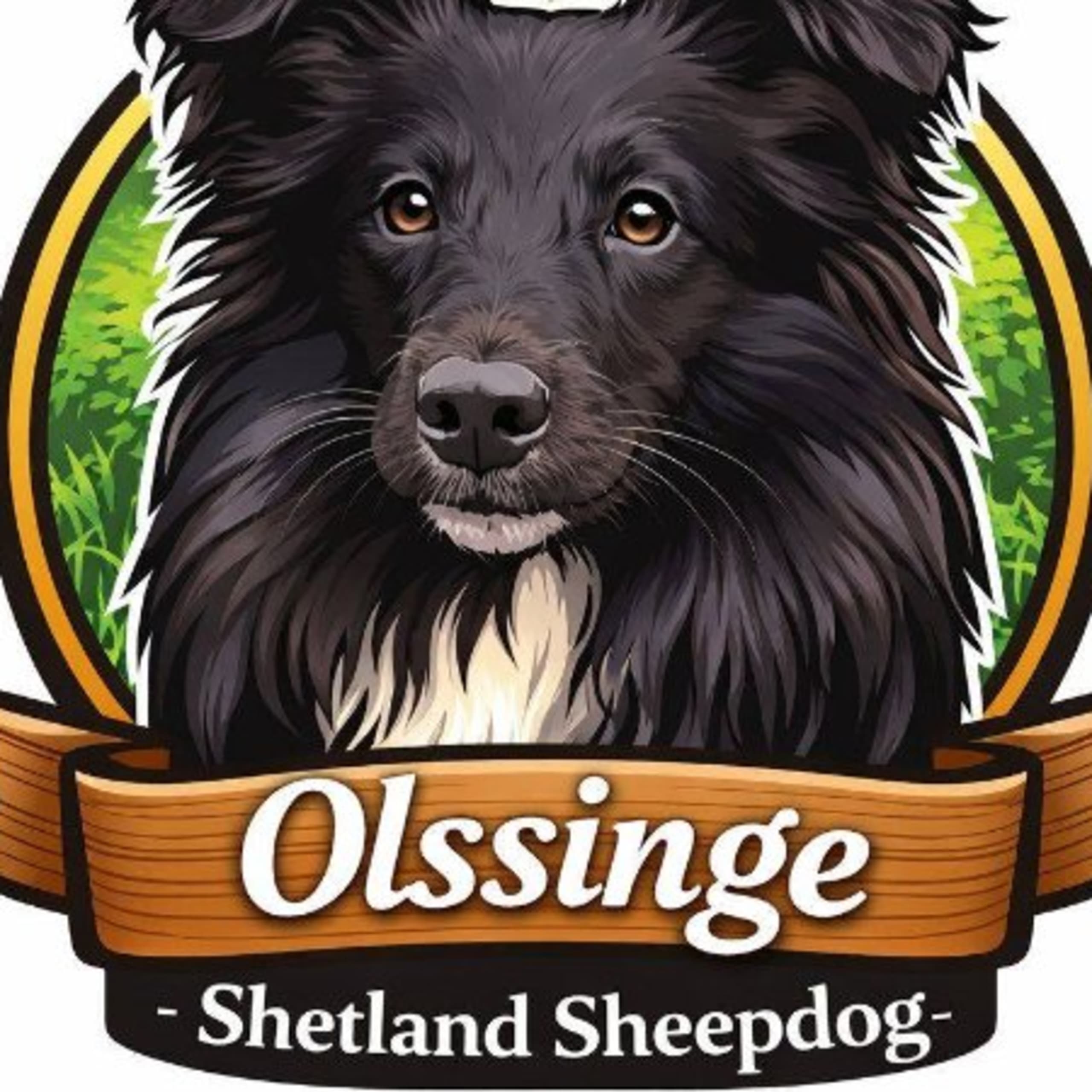 O