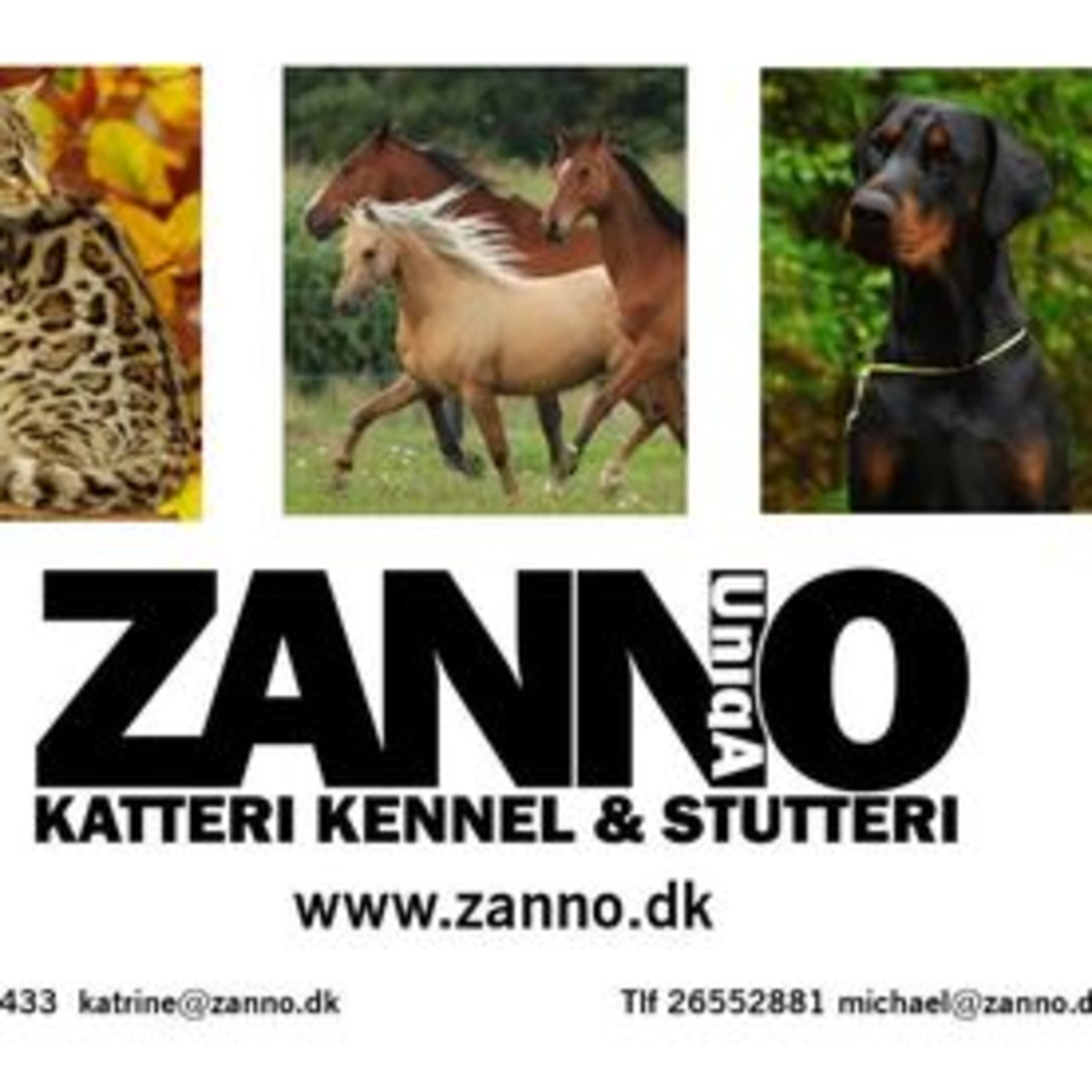 Zanno Uniqa