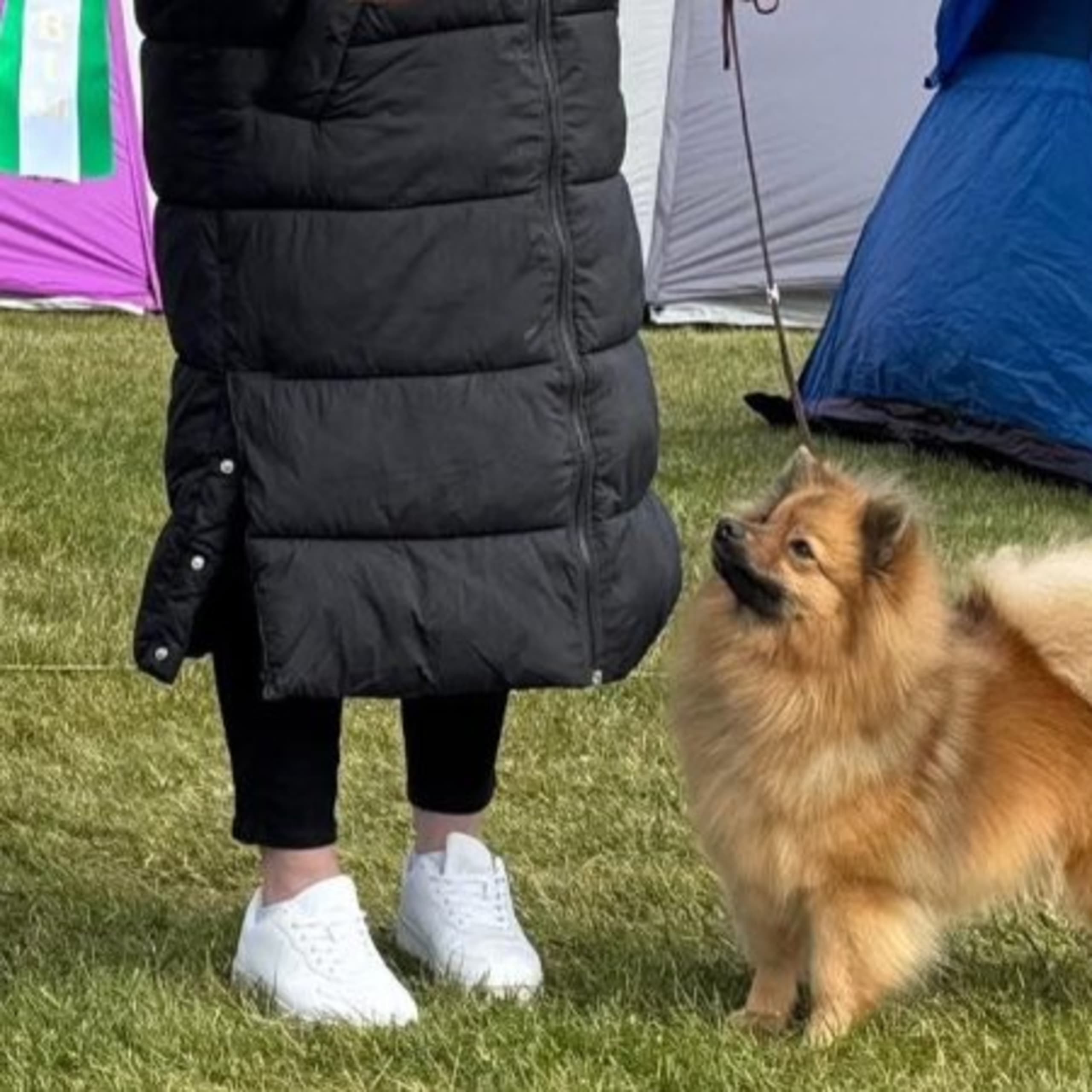 O