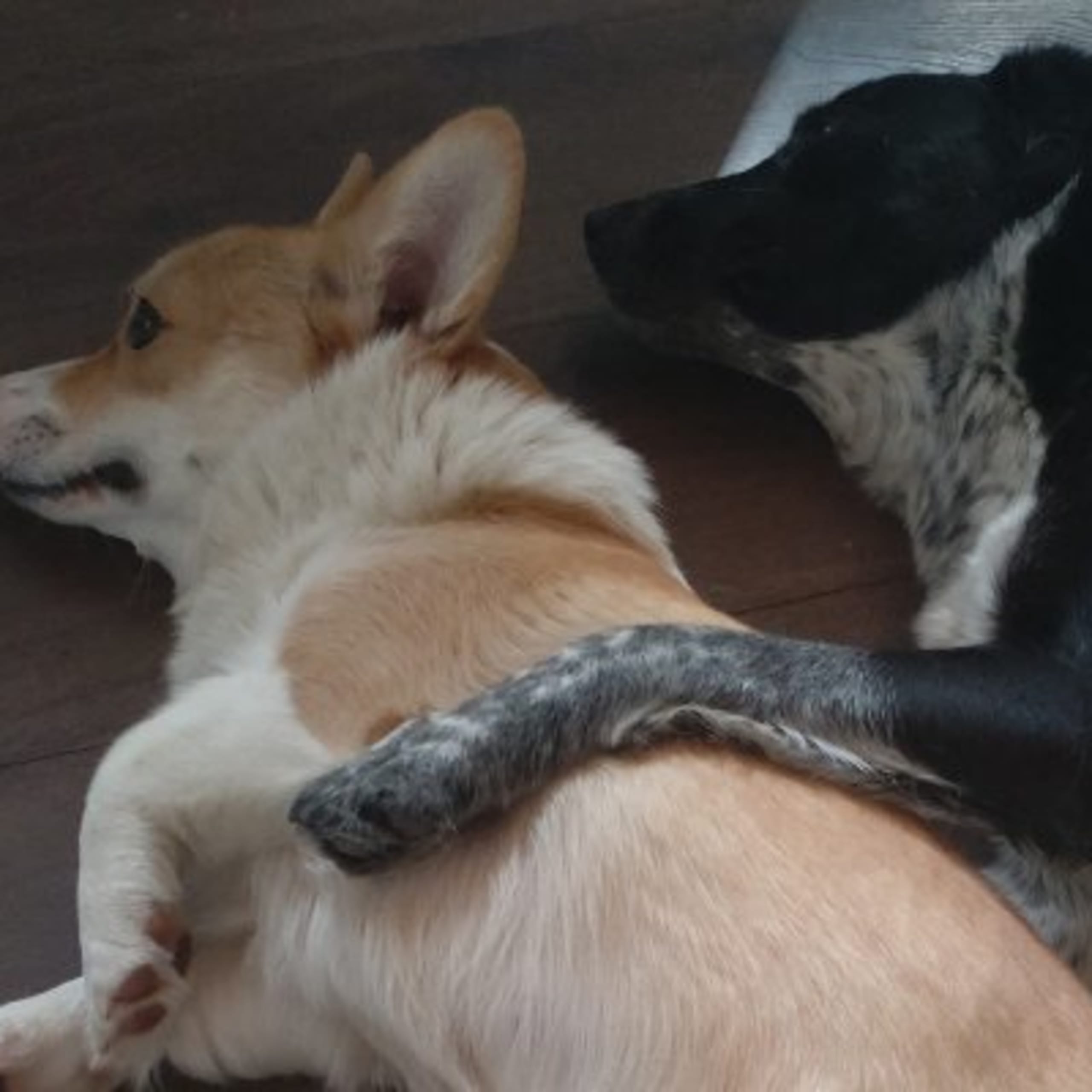 B