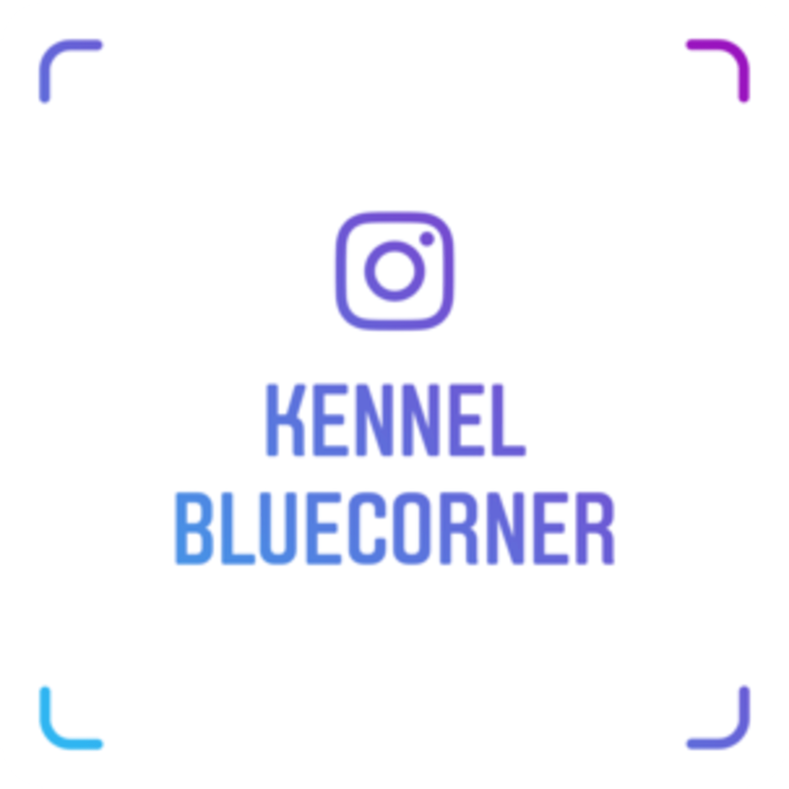 BlueCorner´s