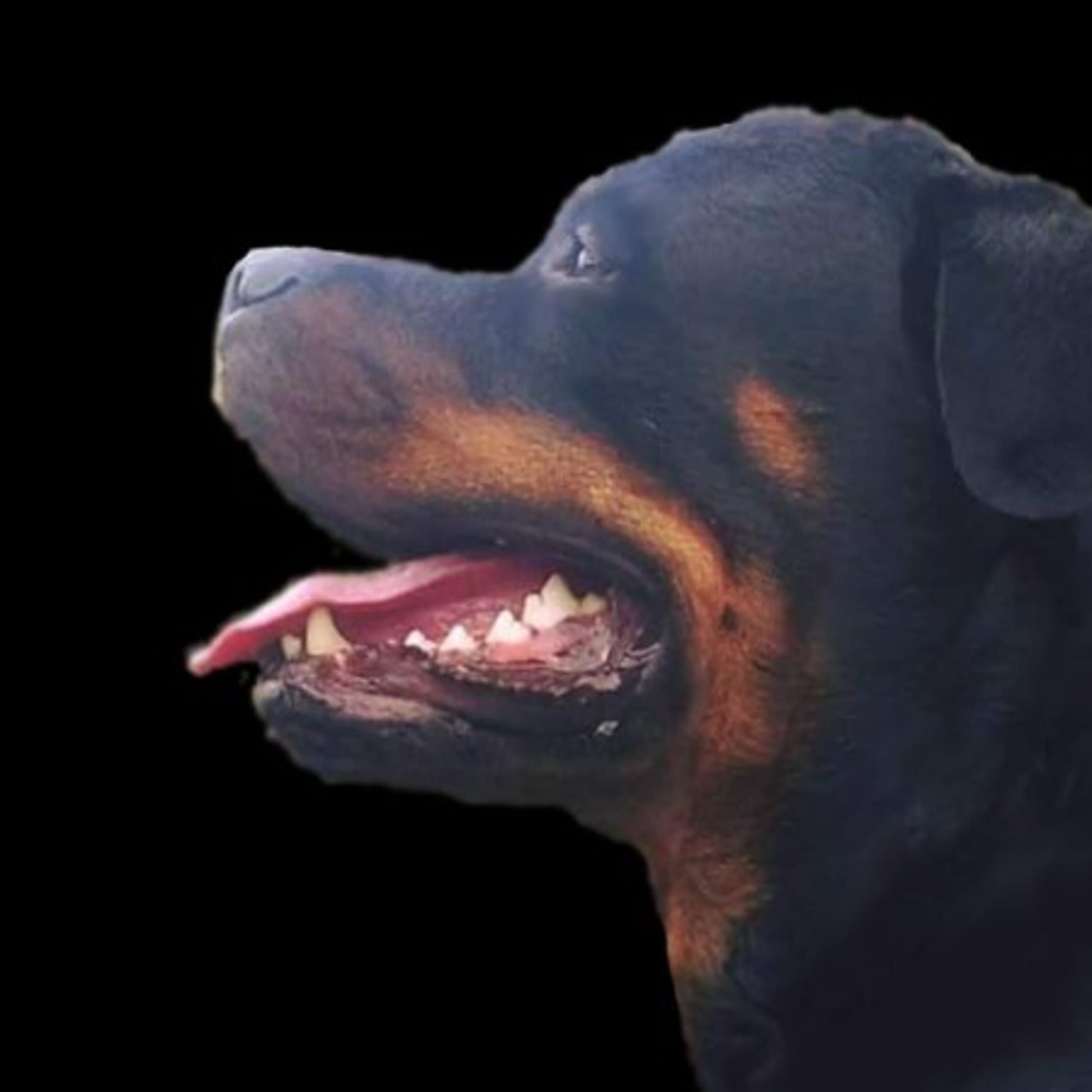 N