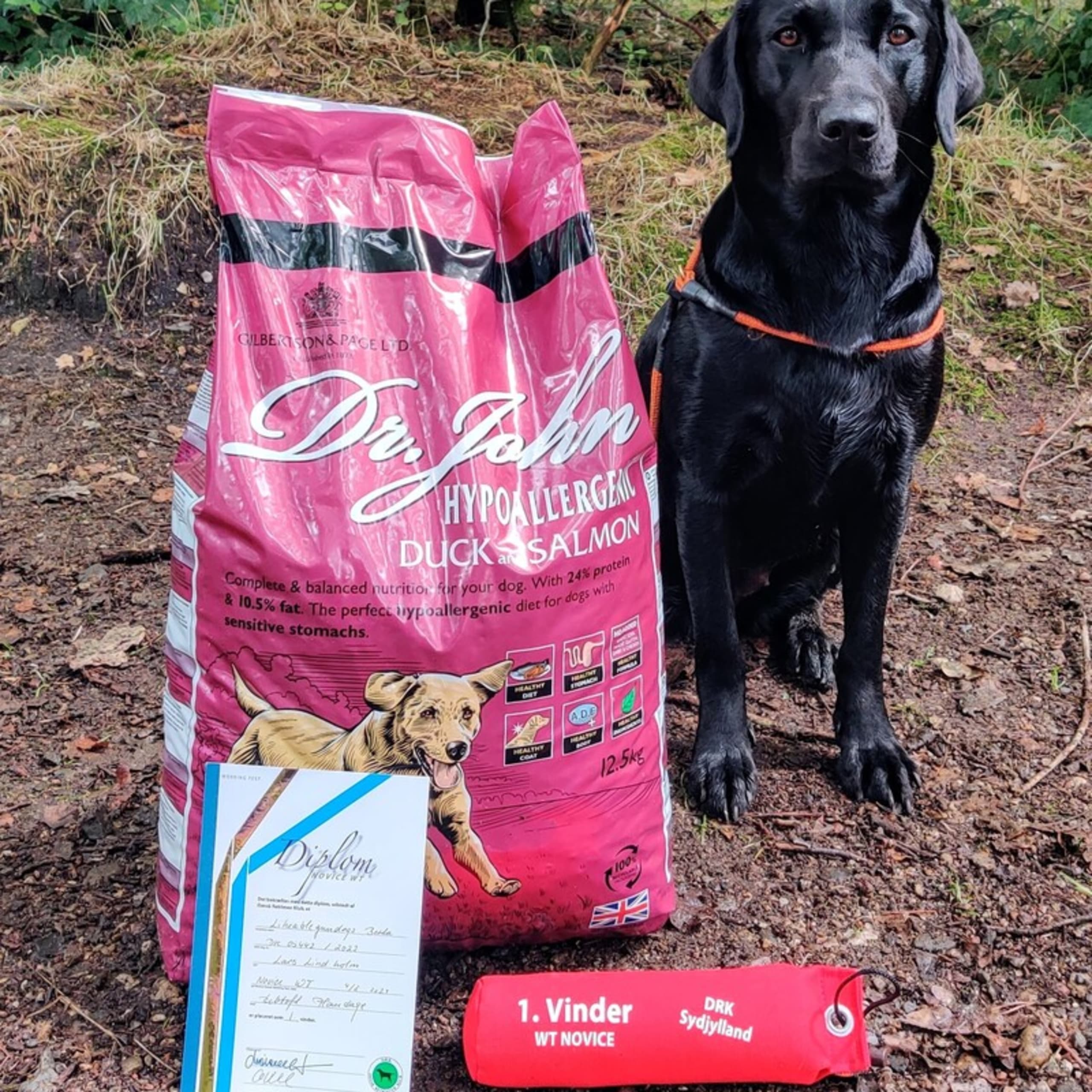 Lindholm Gundogs