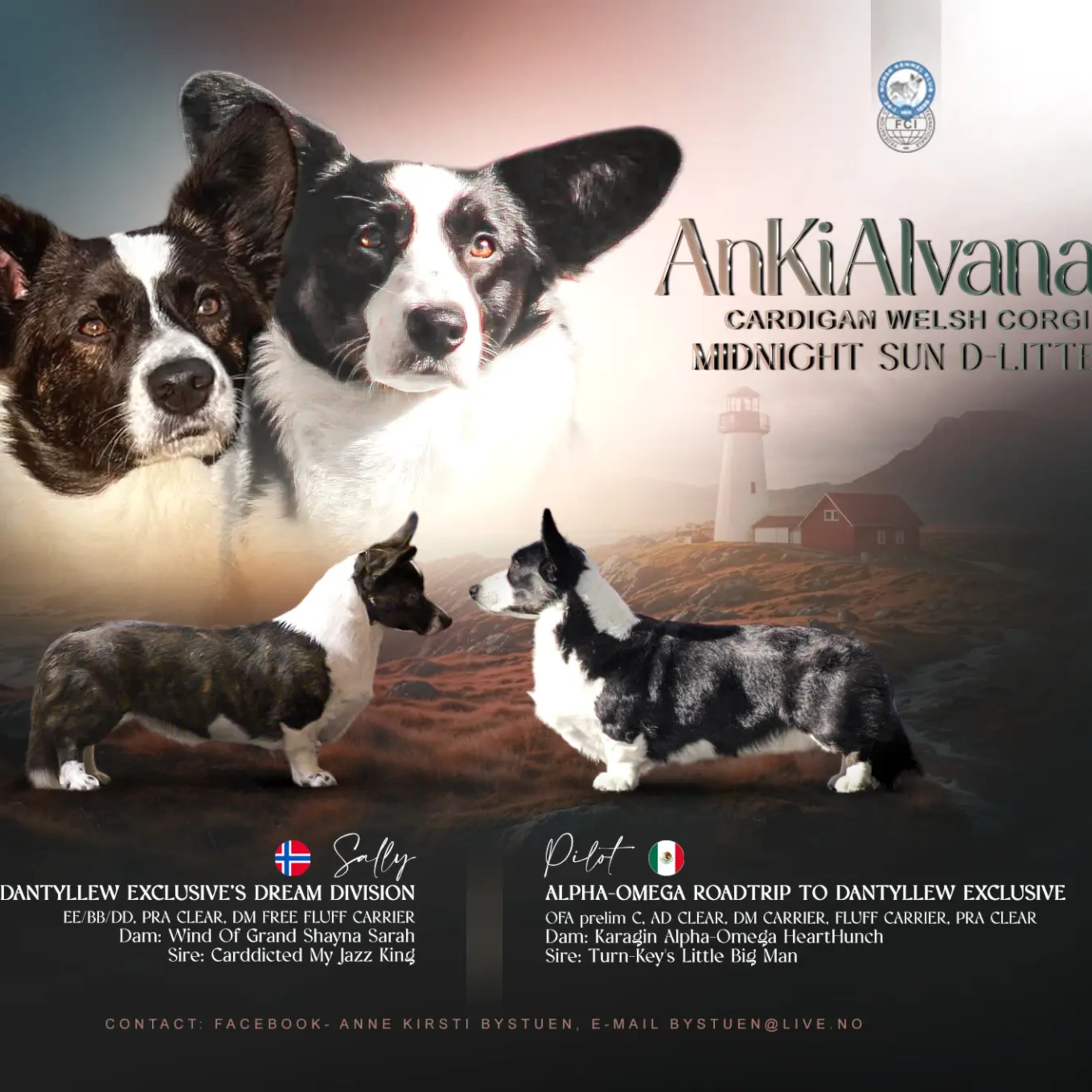 AnKiAlvana
