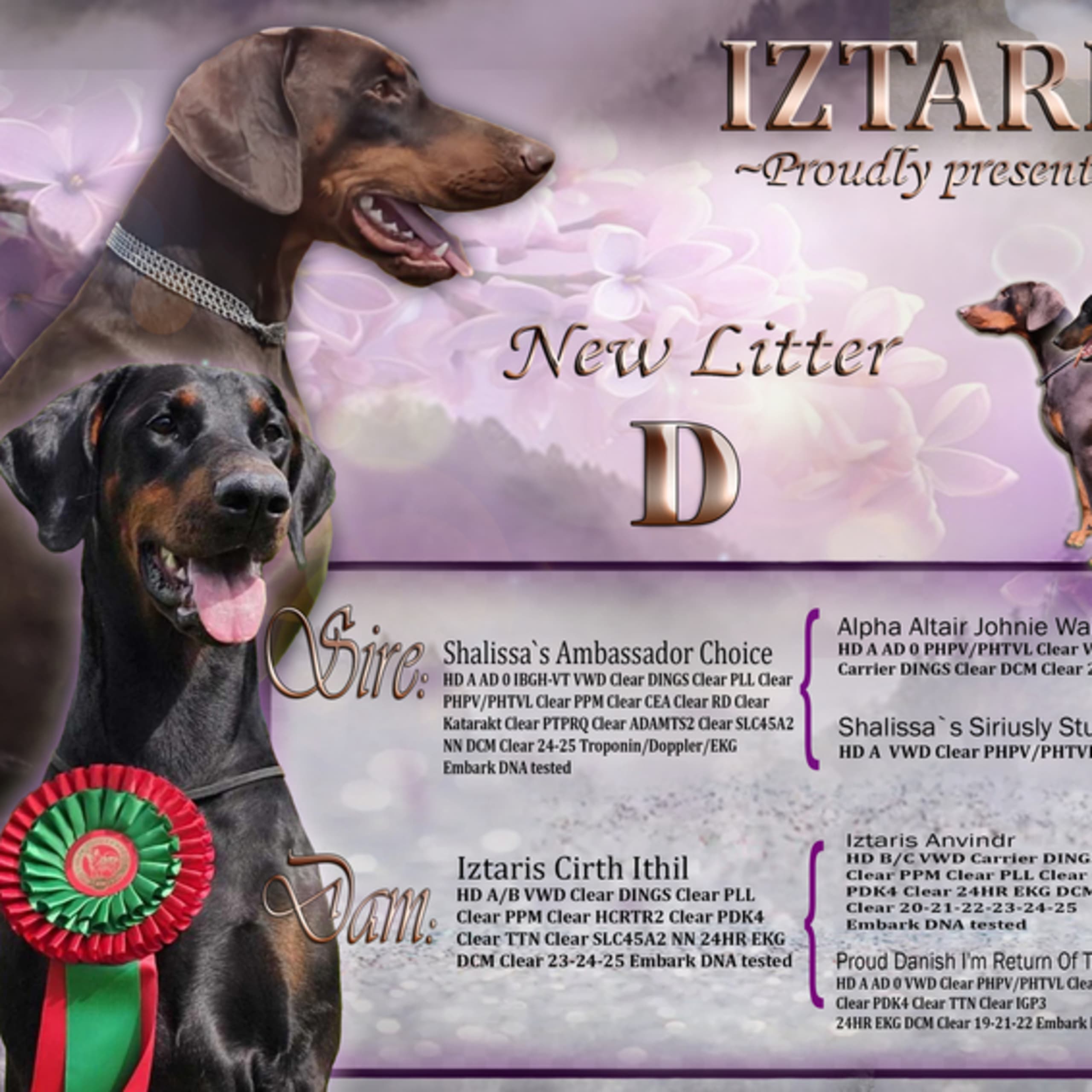 Iztaris