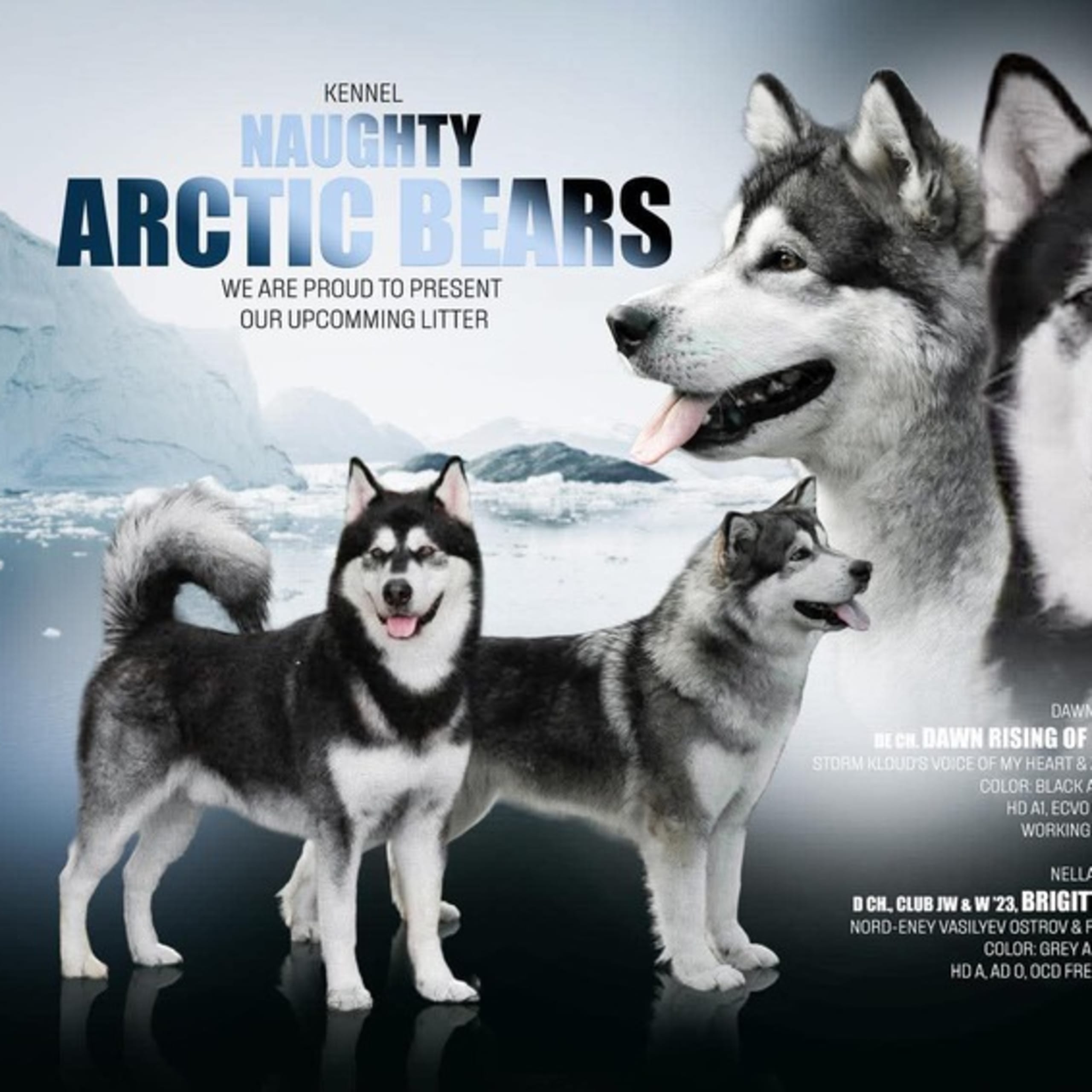 Naughty Arctic Bears