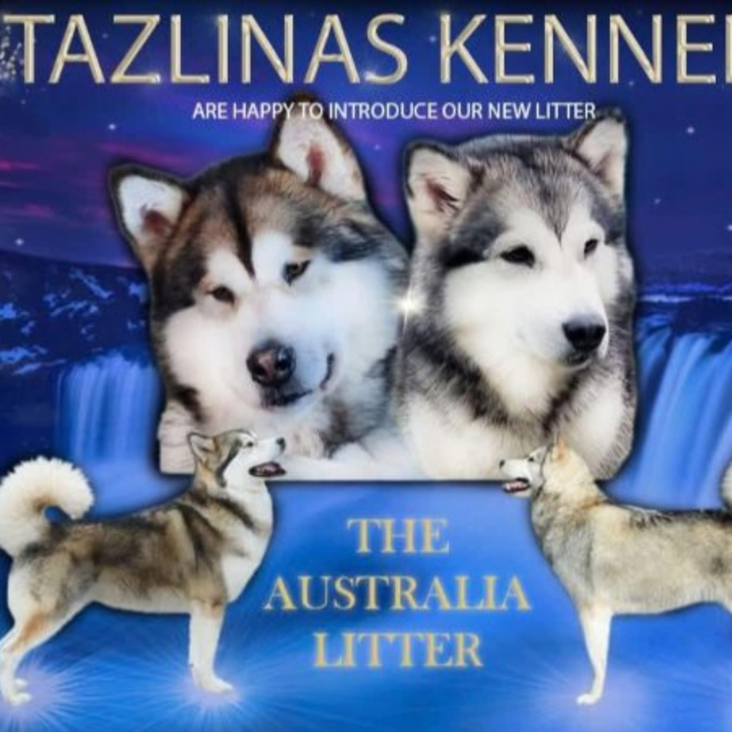 Tazlinas