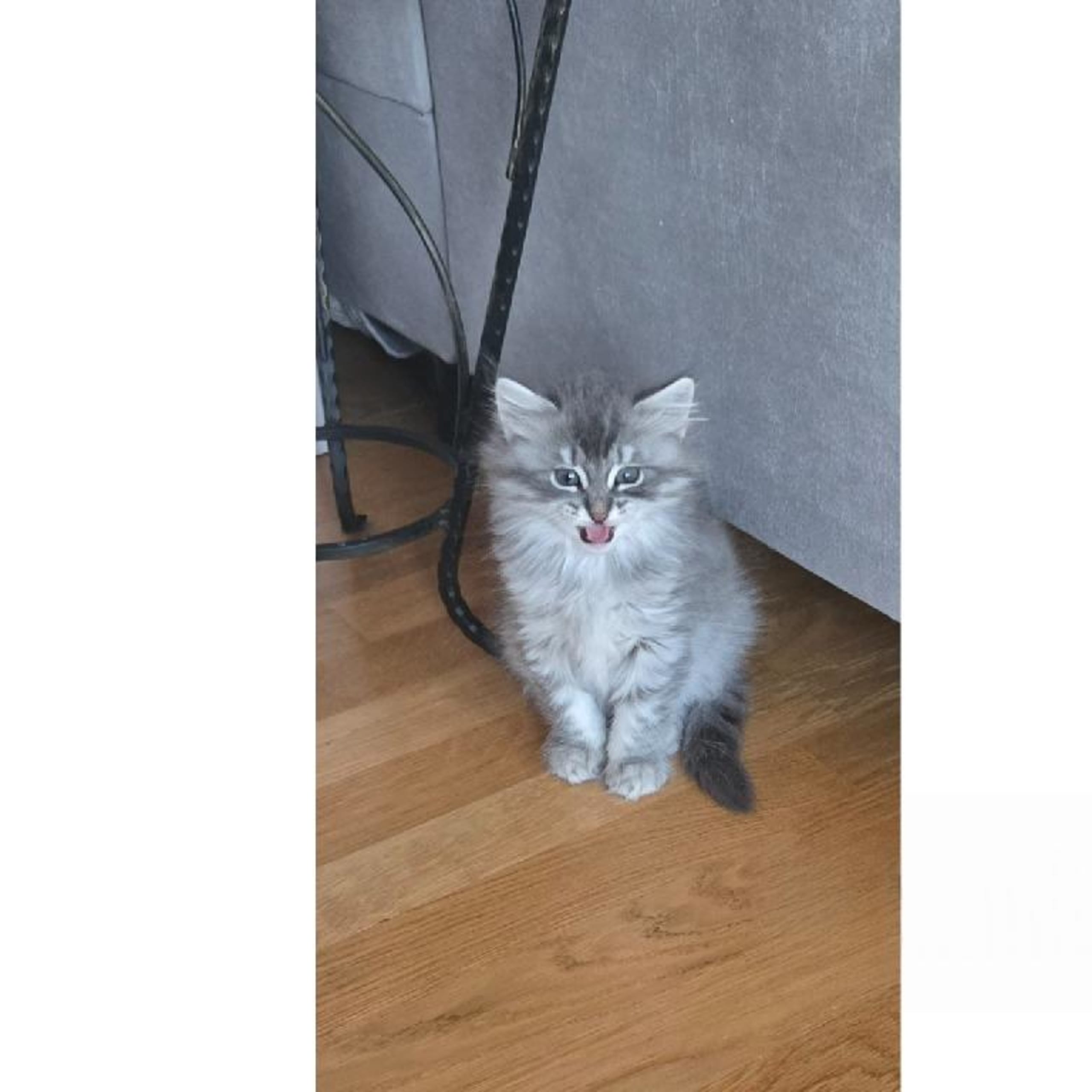 SE *Lila Skrälle