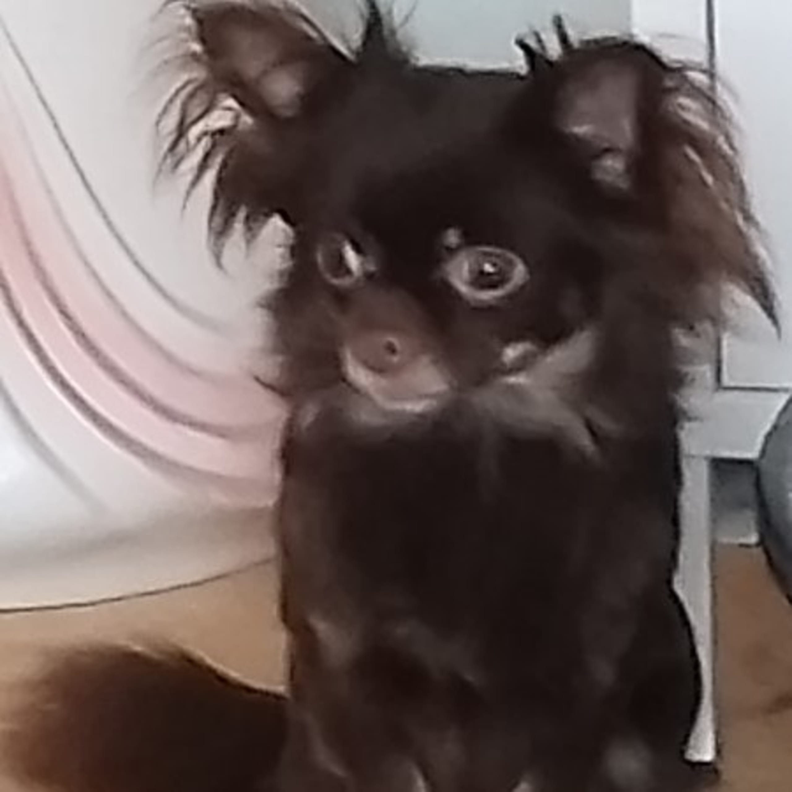 Chi's Unique