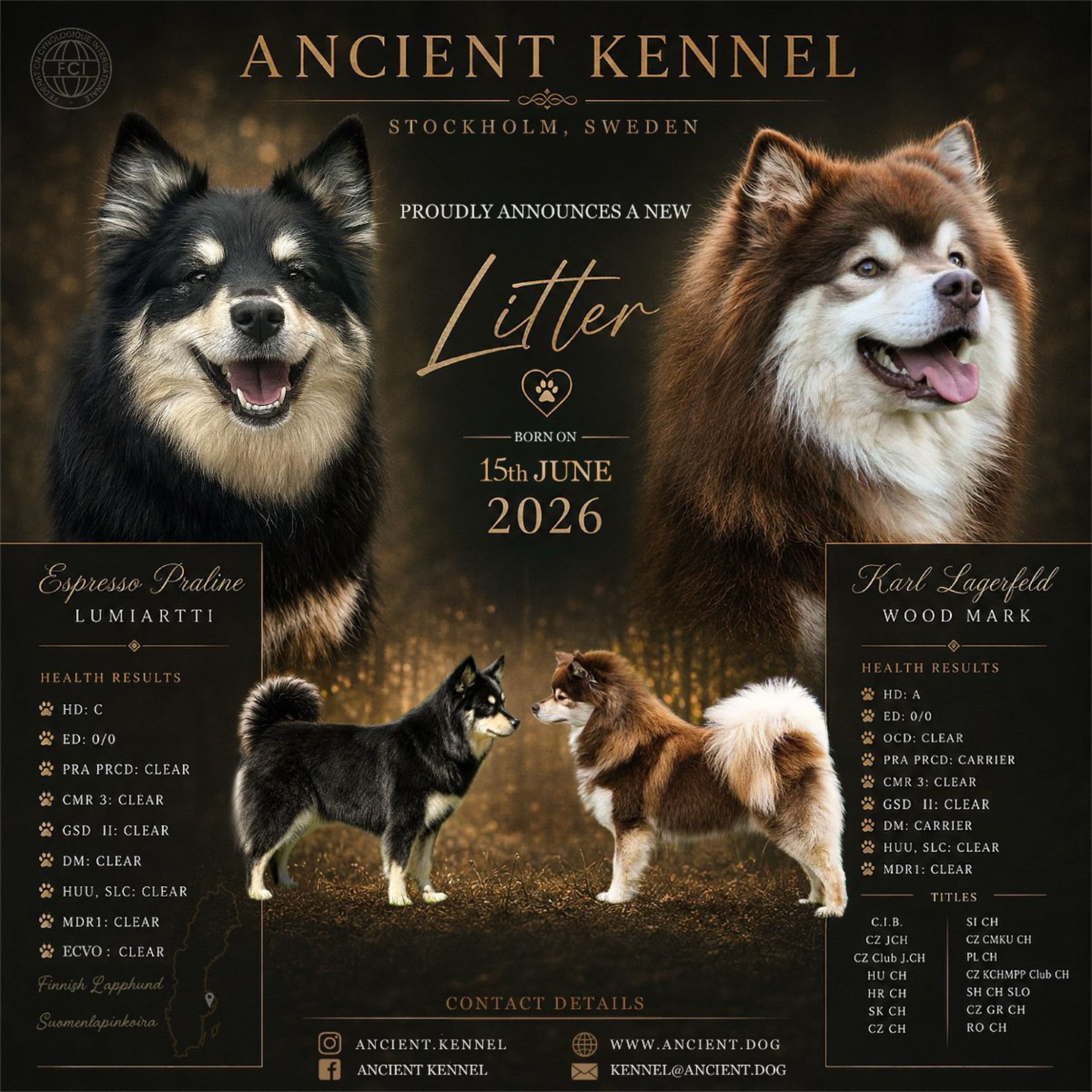 Ancient