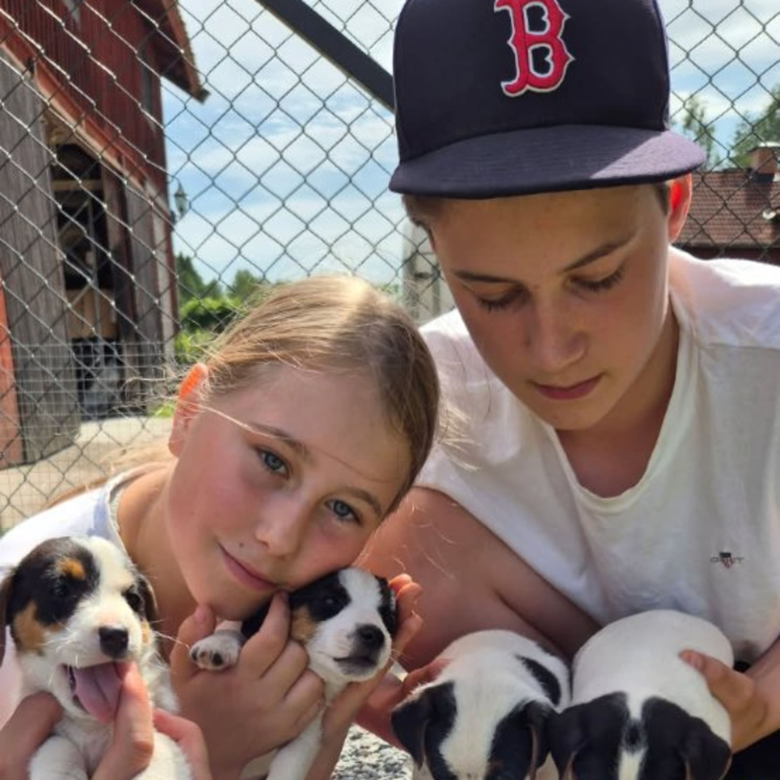 Limelight Kennels