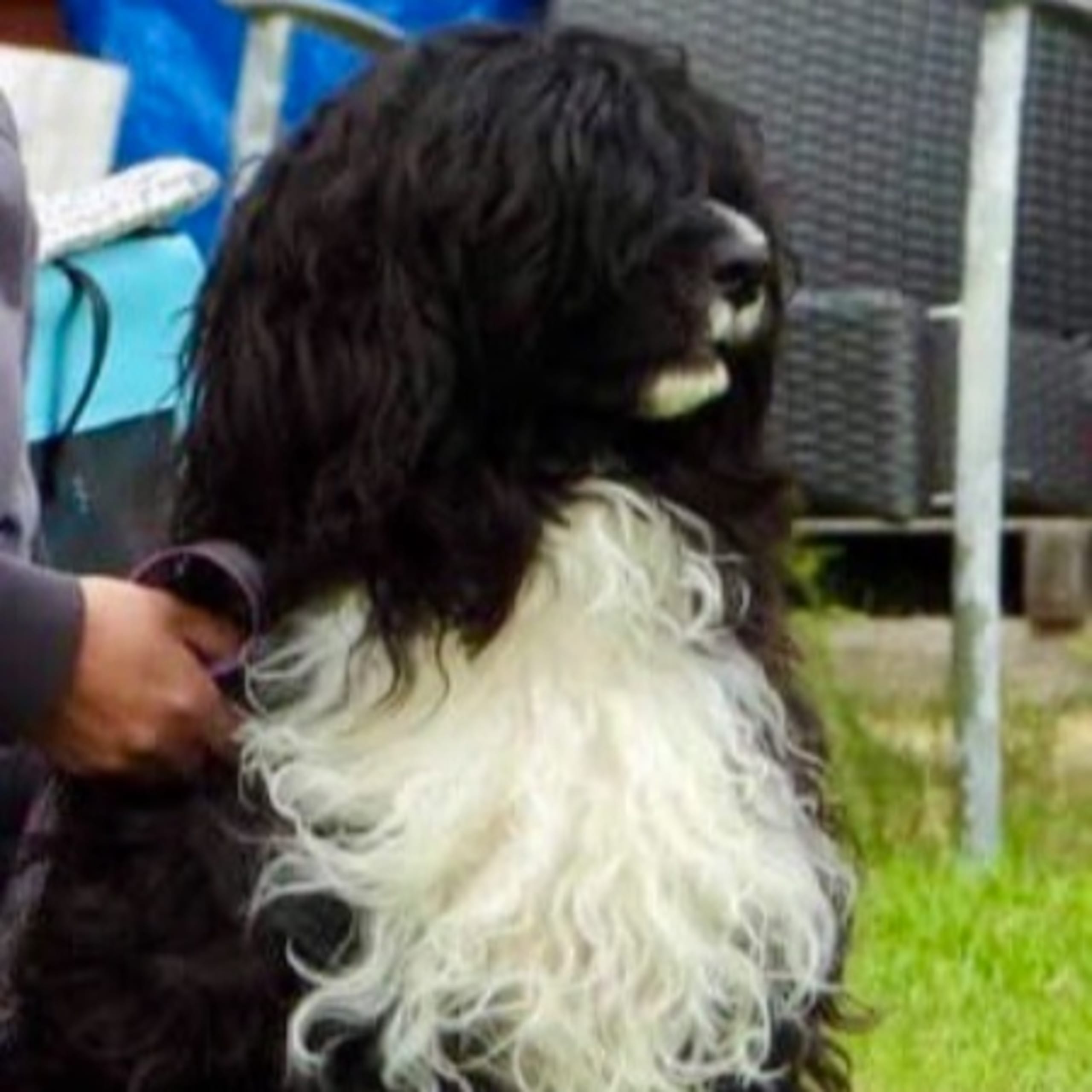 Västanbäcks