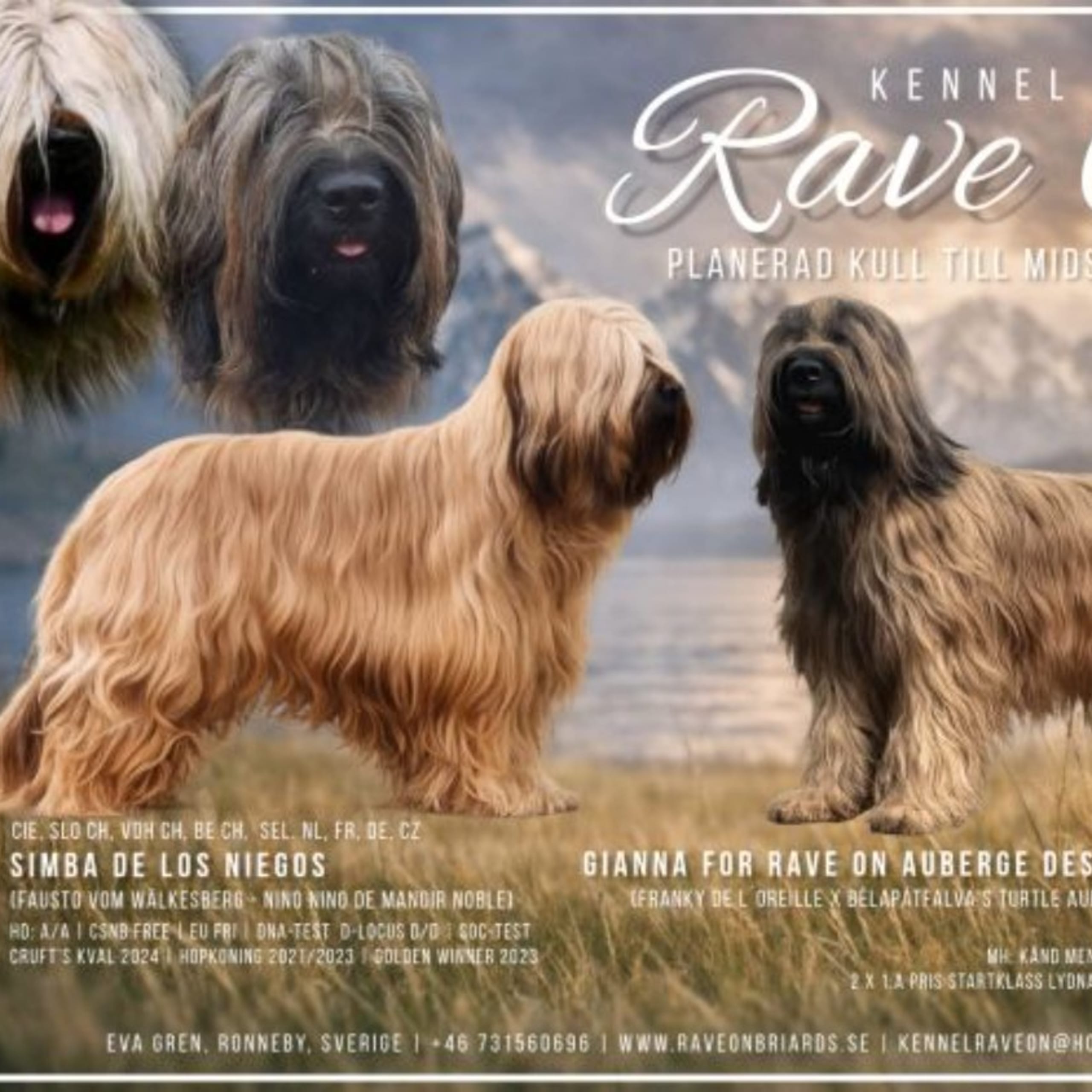 Rave On