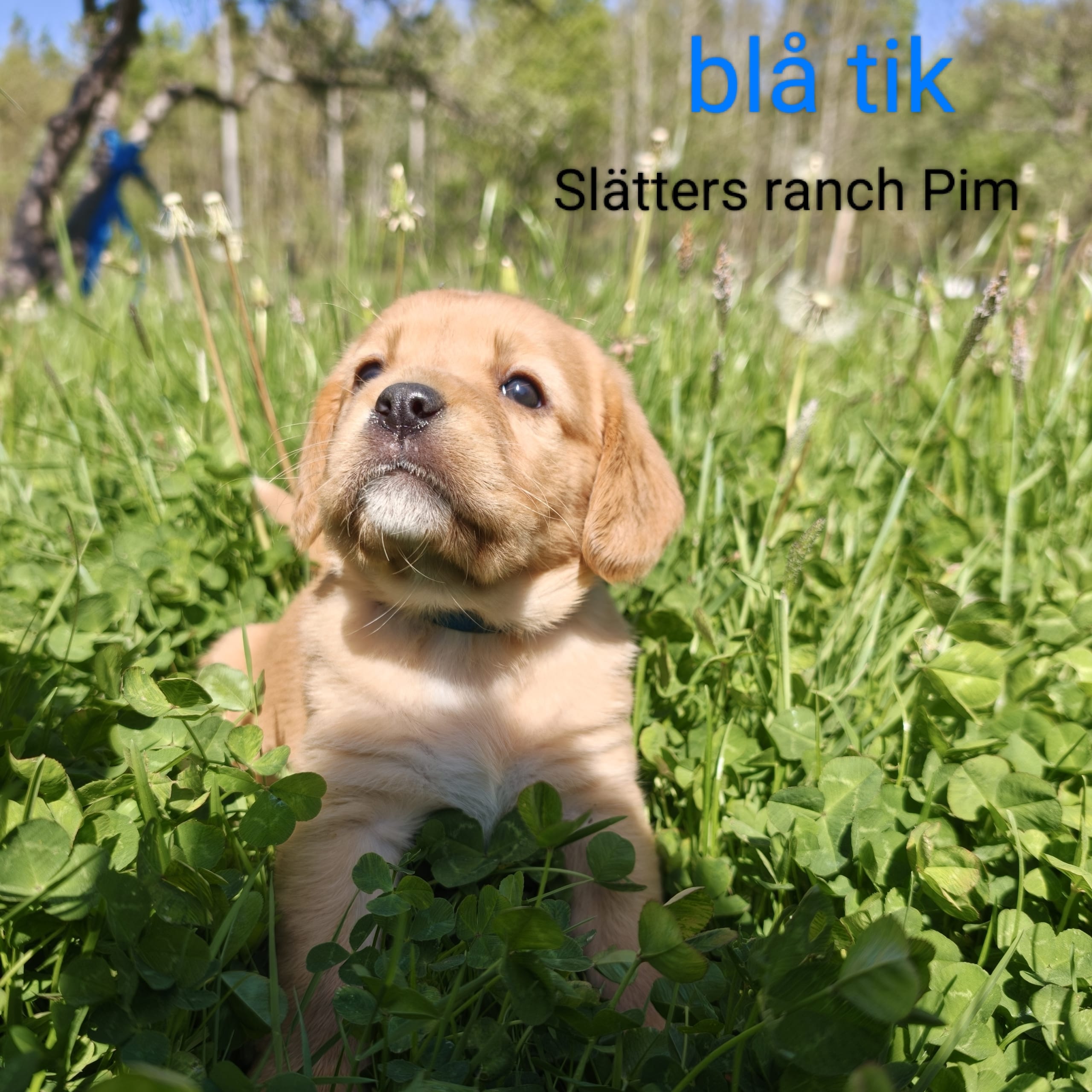 Slätters Ranch