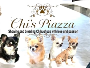 Chi's Piazza