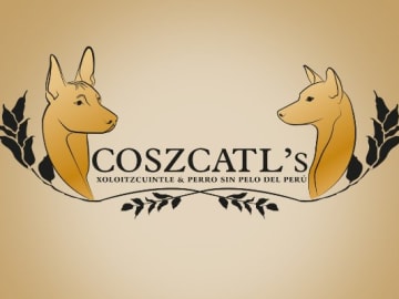 Coszcatl's