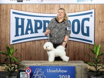 White vision's kennel