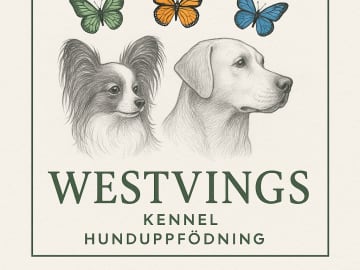 Westvings