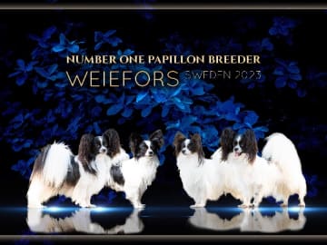 Weiefors