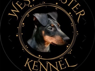 WestChester Kennel