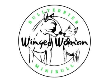 Winged Woman