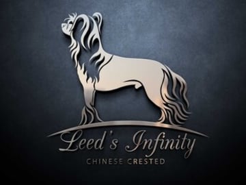 Leed's Infinity