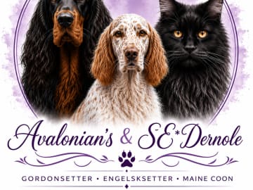 Avalonian’s &Se*Dernole