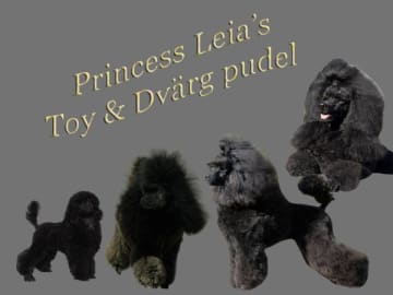 Princess Leia's