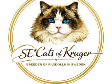 SE*Cats of Kruger