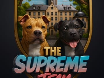 SupremeTeamSbt