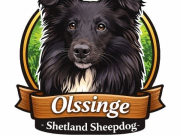 Olssinge