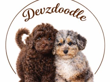 Devzdoodle