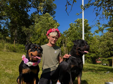Kennel Lexander's