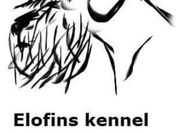 ELOFINS KENNEL
