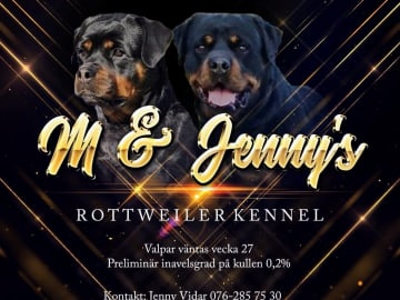 M and Jenny's
