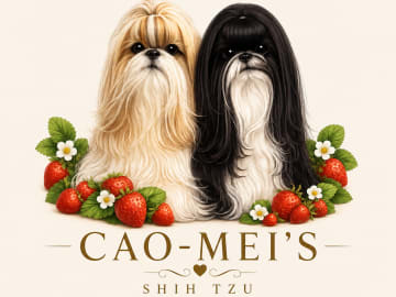 Cao-Mei’s