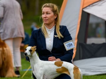 Alternova Whippet