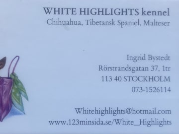 White Highlights