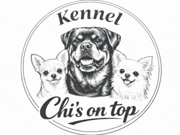 Chi's on top