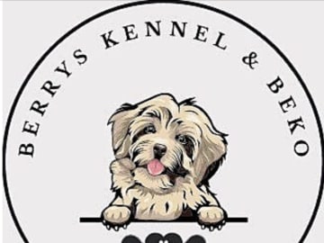 Berrys Kennel & Beko