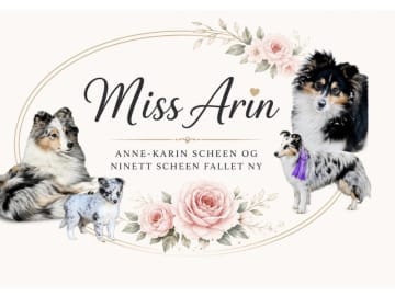 Anne-Karin Scheen