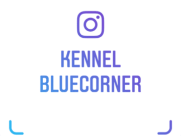 BlueCorner´s