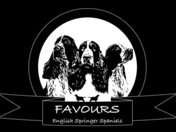Favours